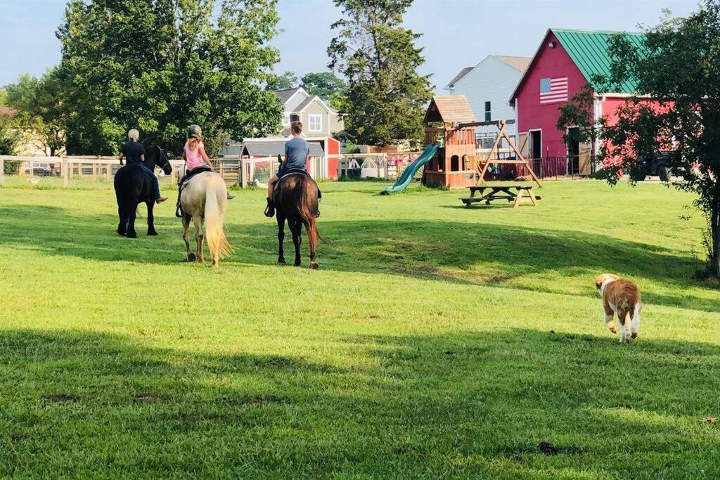 Beautiful Equestrian Estate Home W/ Hot Tub! Loveland Bagian luar foto