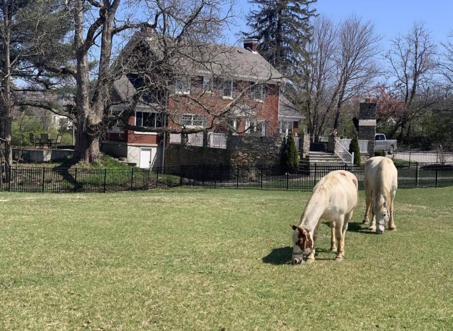 Beautiful Equestrian Estate Home W/ Hot Tub! Loveland Bagian luar foto