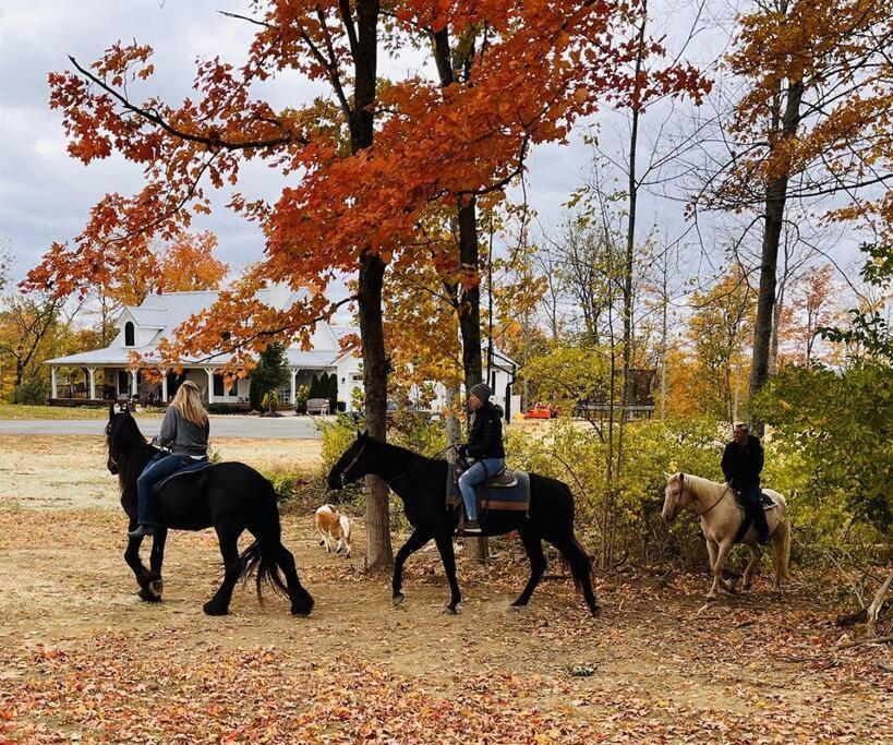 Beautiful Equestrian Estate Home W/ Hot Tub! Loveland Bagian luar foto